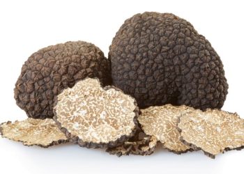 Mushroom Truffles